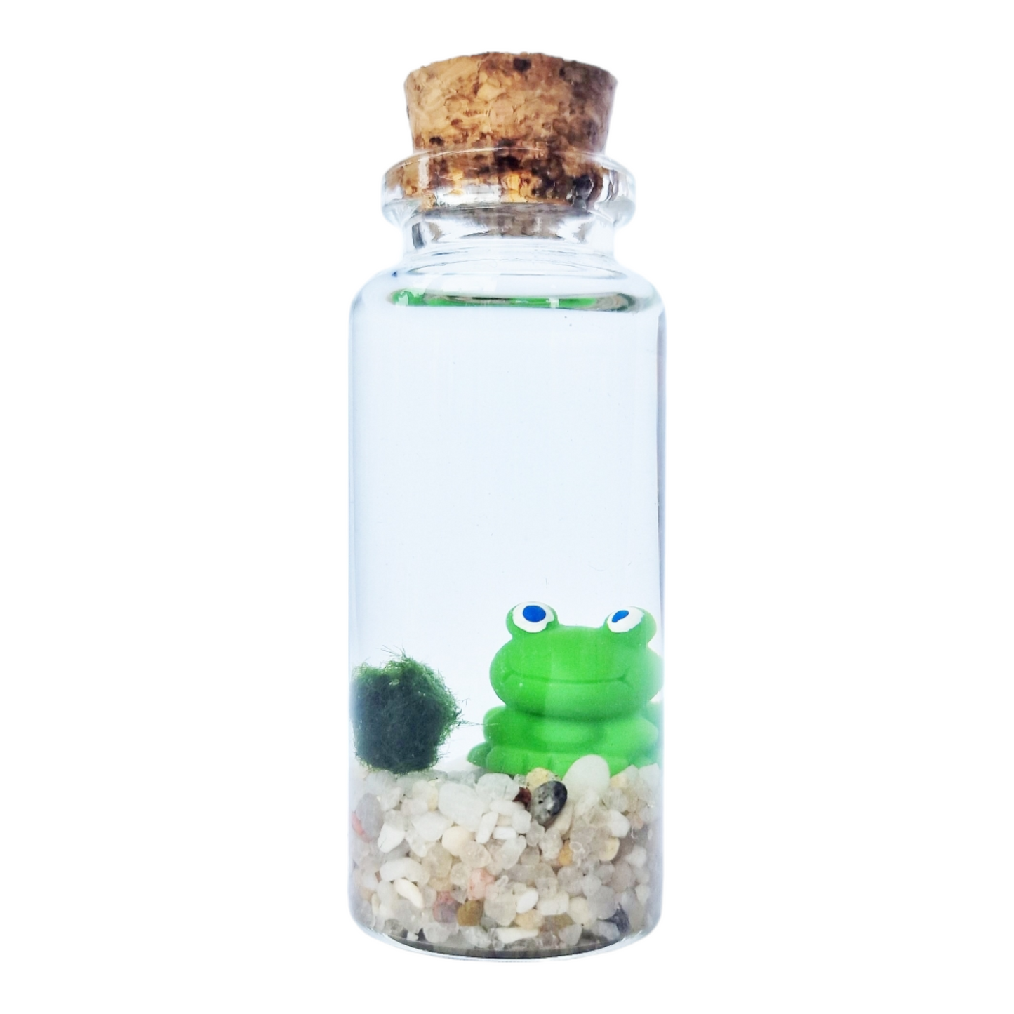 Baby Marimo with Froggy