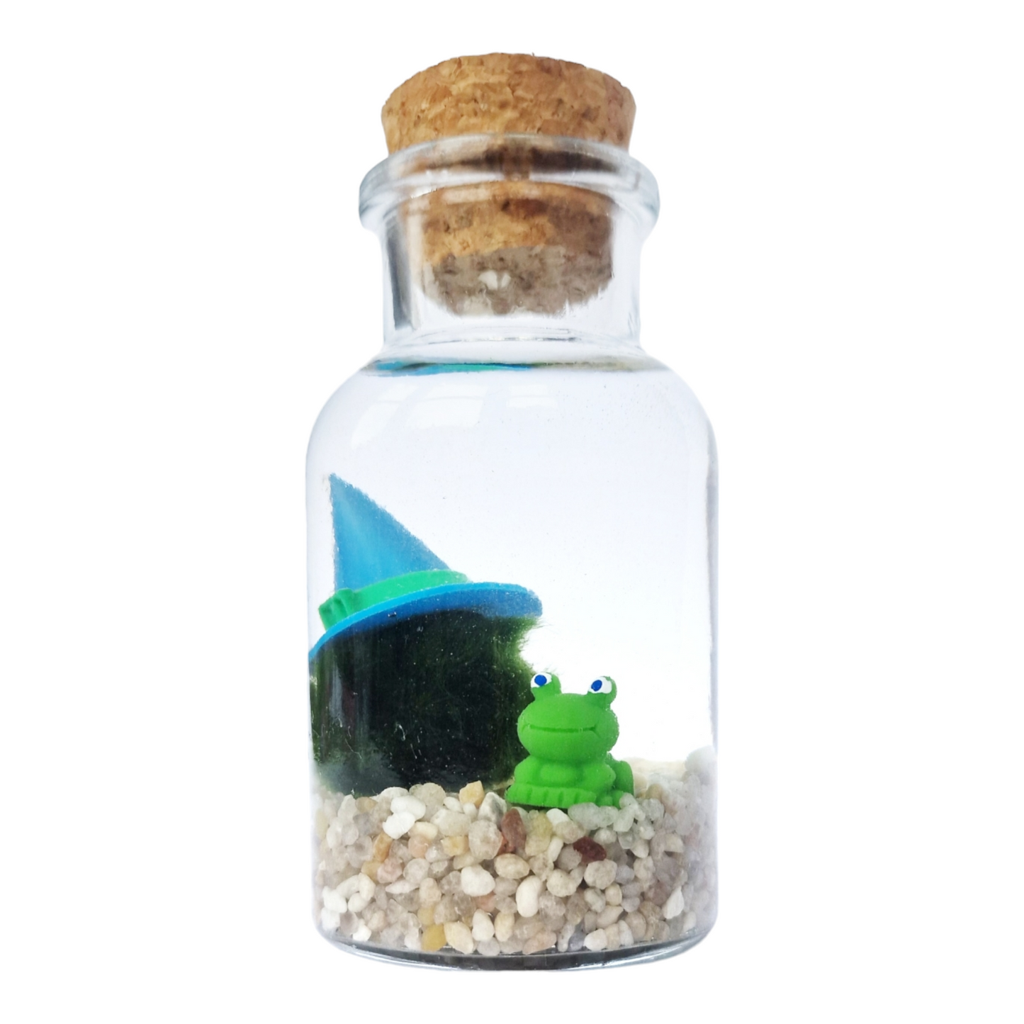 Froggy Wizard Marimo