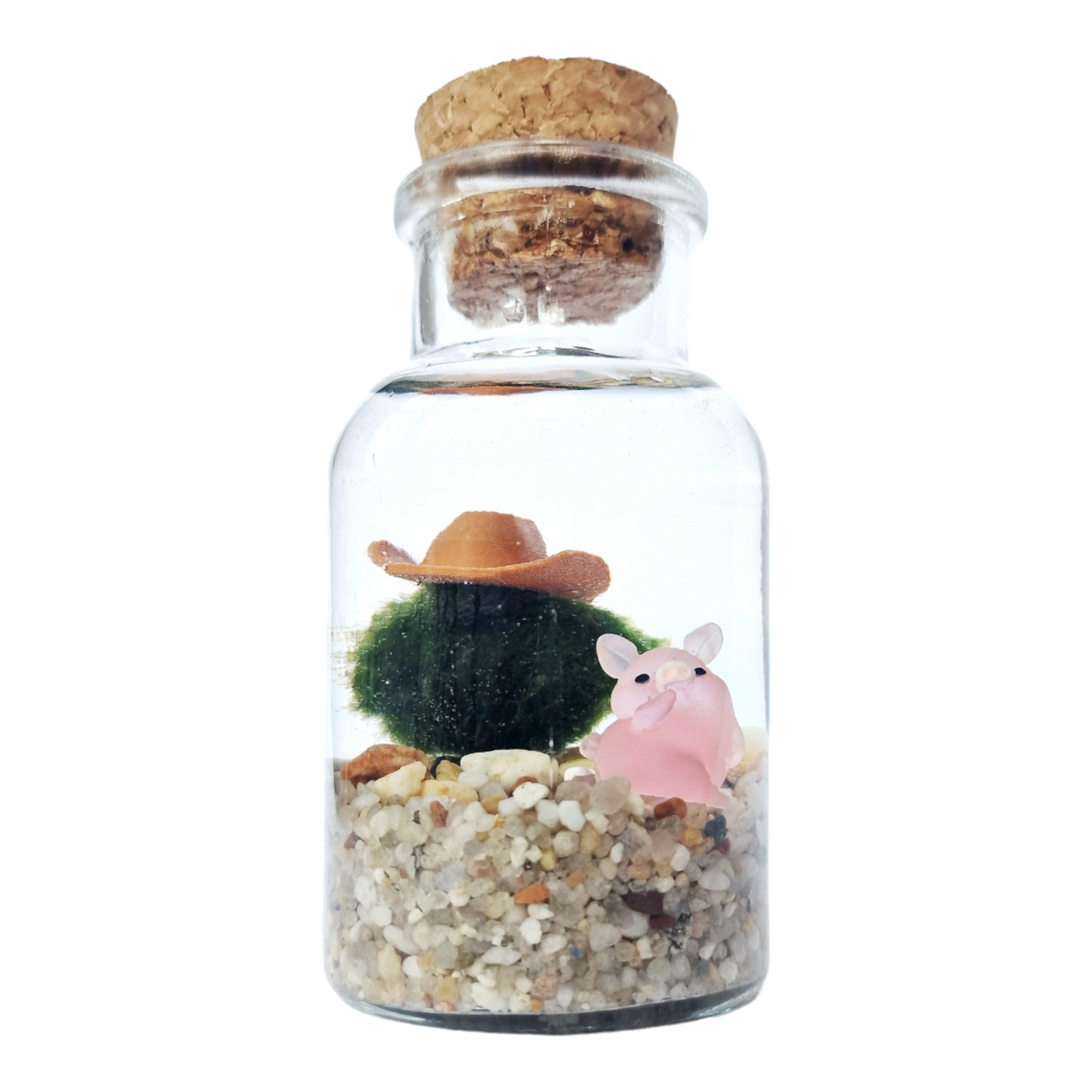 Cowboy Marimo with the Sassiest Piglet Ever