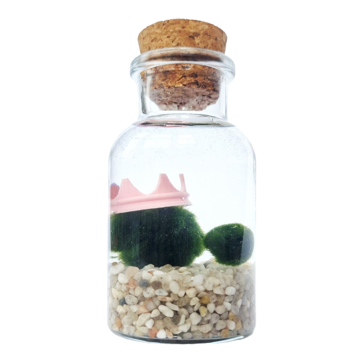 Mum and Baby Marimo Dual Set