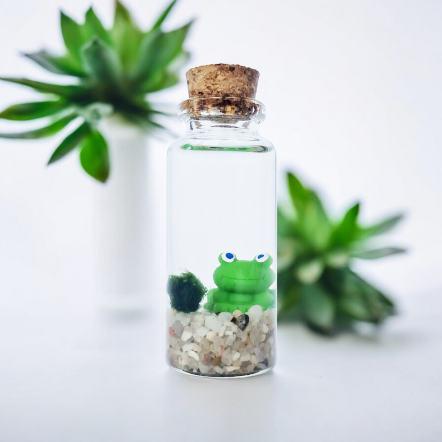 Baby Marimo with Froggy