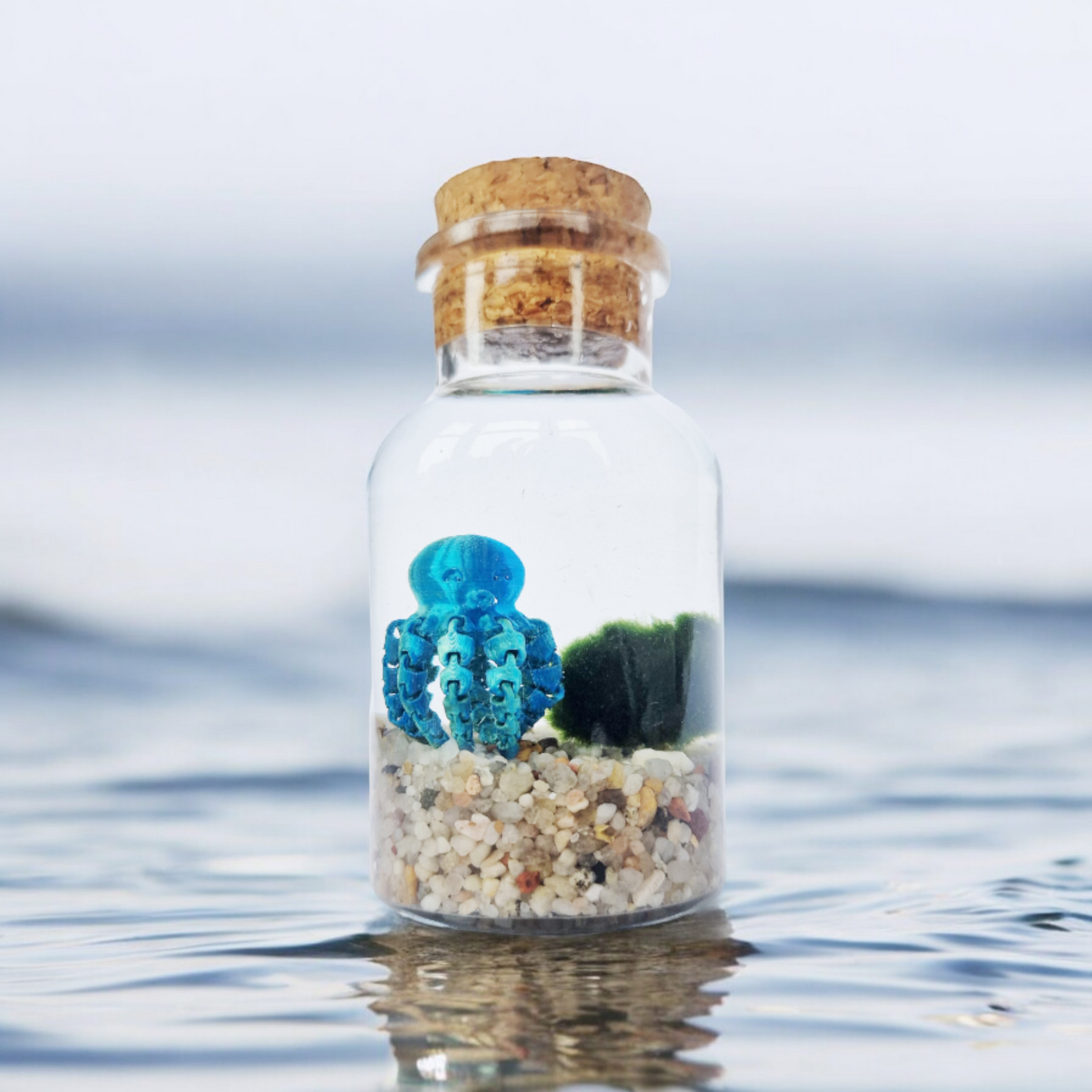 Marimo Moss Ball with Octopus