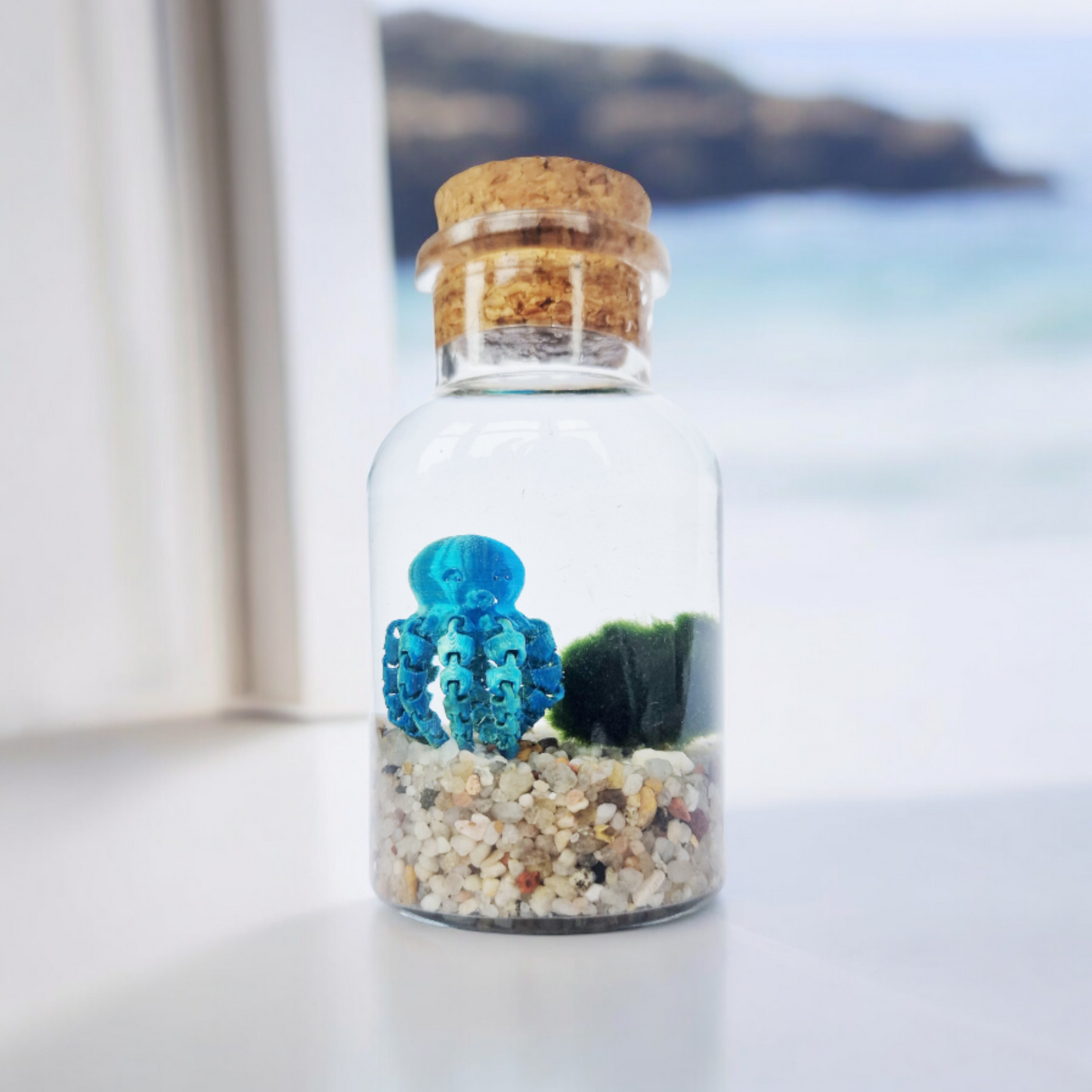 Marimo Moss Ball with Octopus