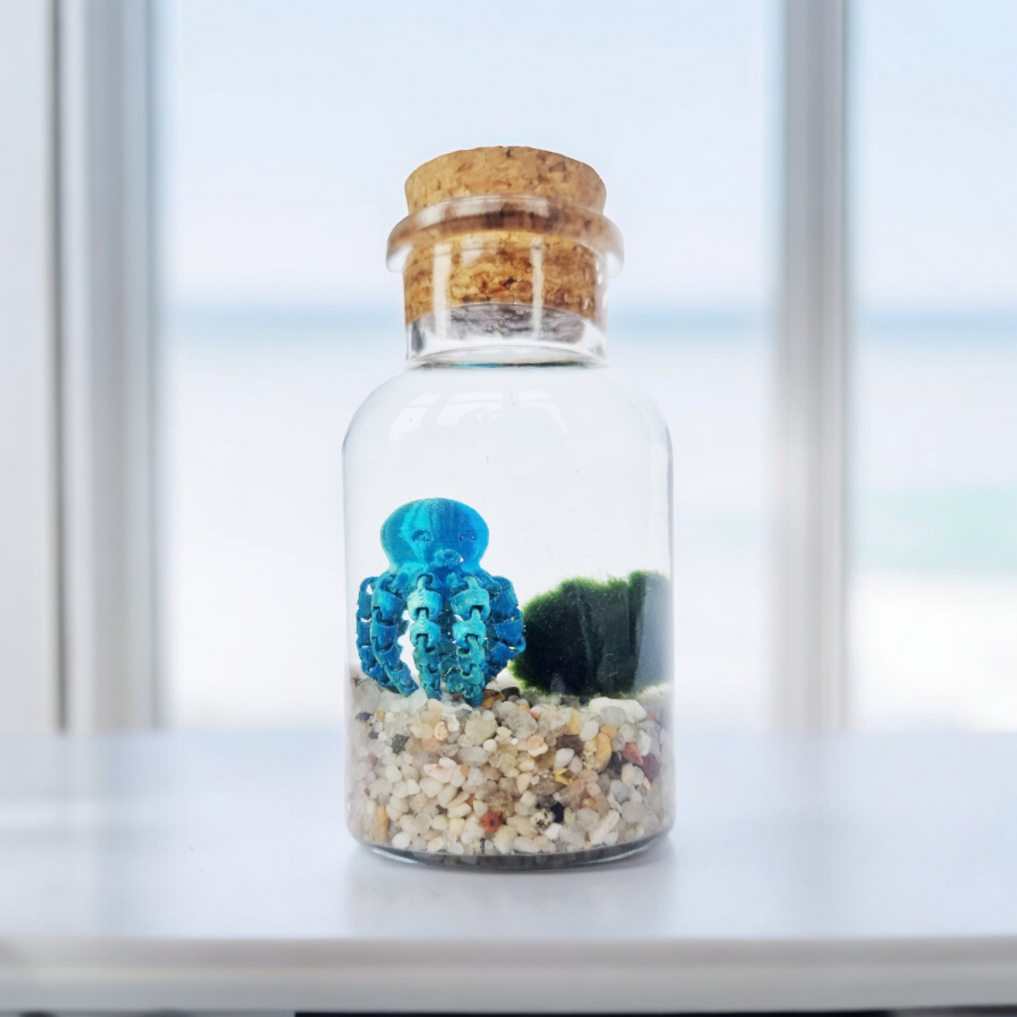 Marimo Moss Ball with Octopus