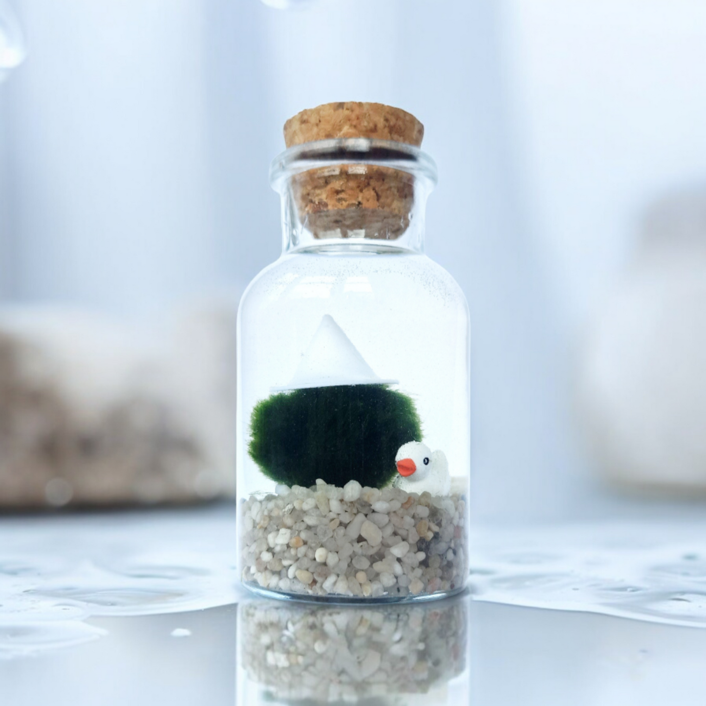 White Witch Marimo with Duckie