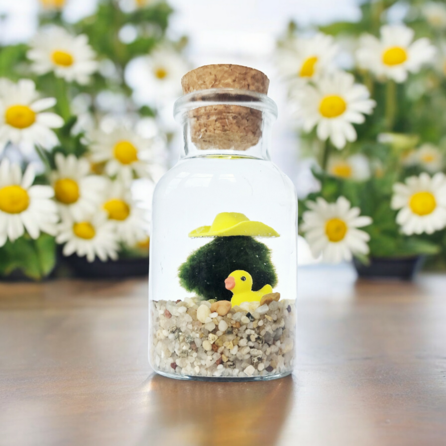 Cowboy with Yellow Duckie Marimo Moss Ball