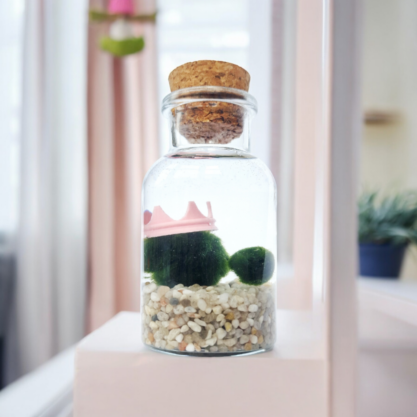 Mum and Baby Marimo Dual Set