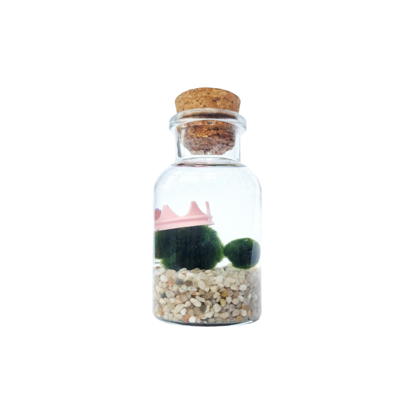 Mum and Baby Marimo Dual Set