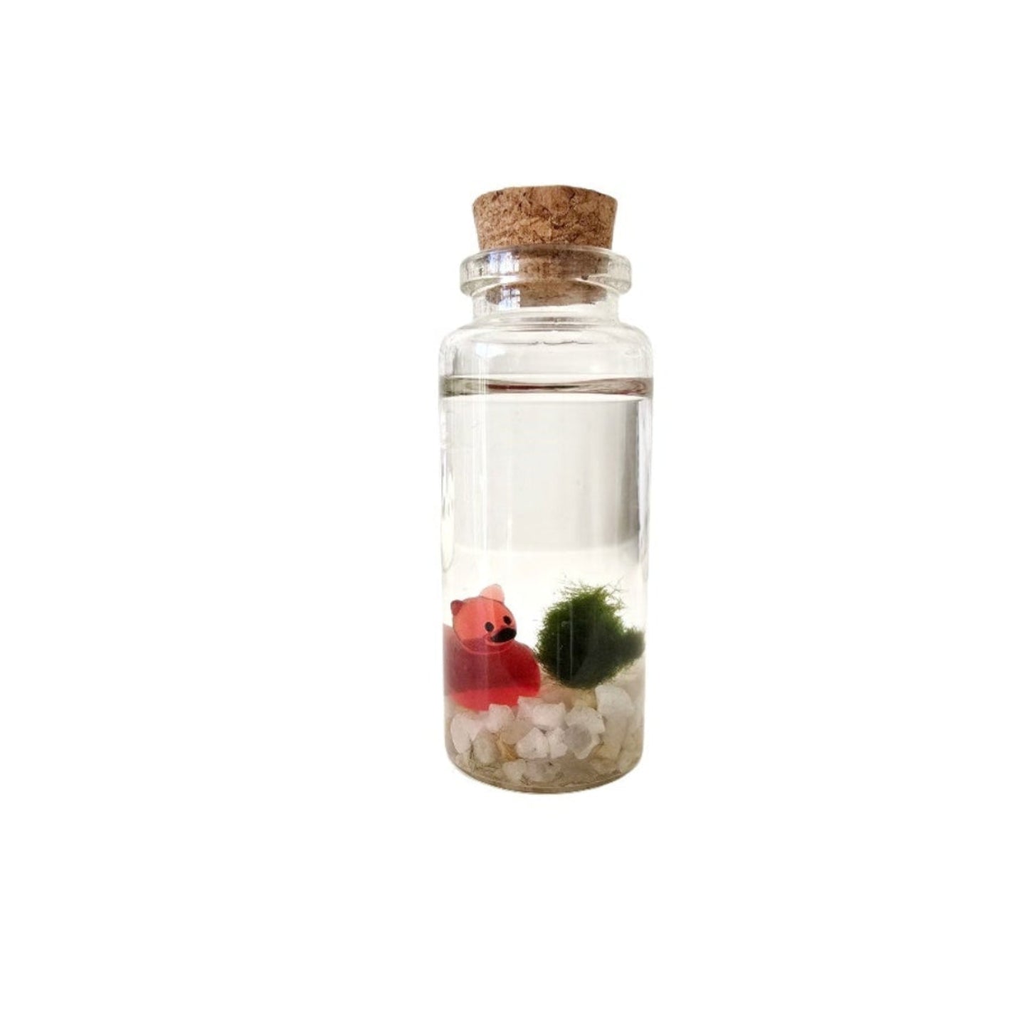 Baby Marimo with Devil Duckie