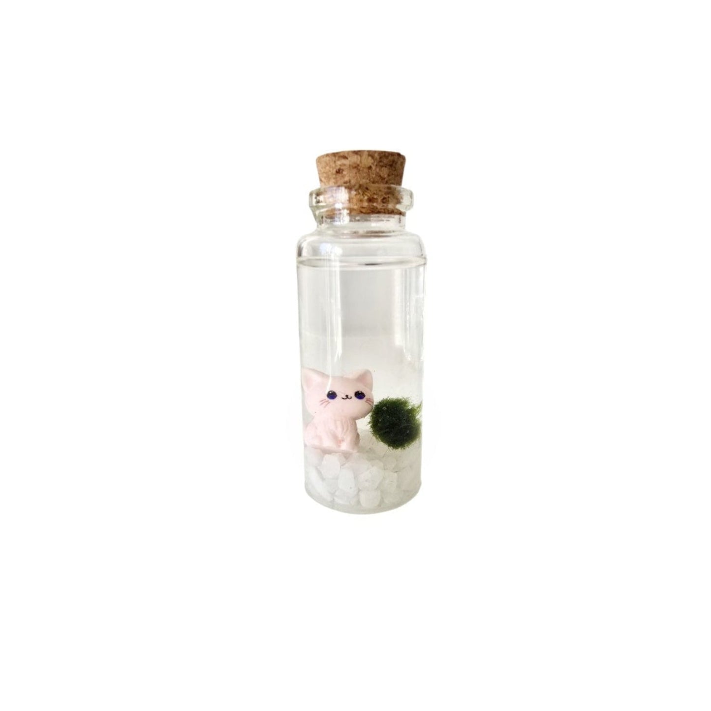 Baby Marimo with a Cute Kitten