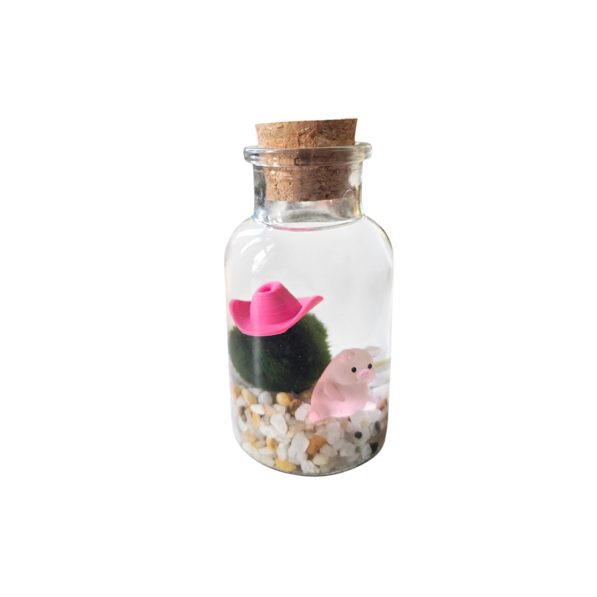 Lottie the Country Marimo