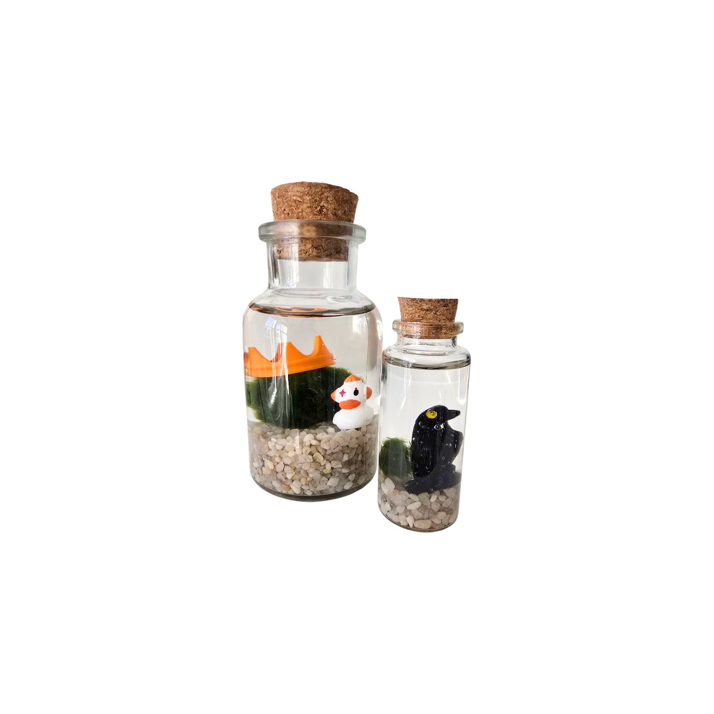 Baby Marimo with Crow