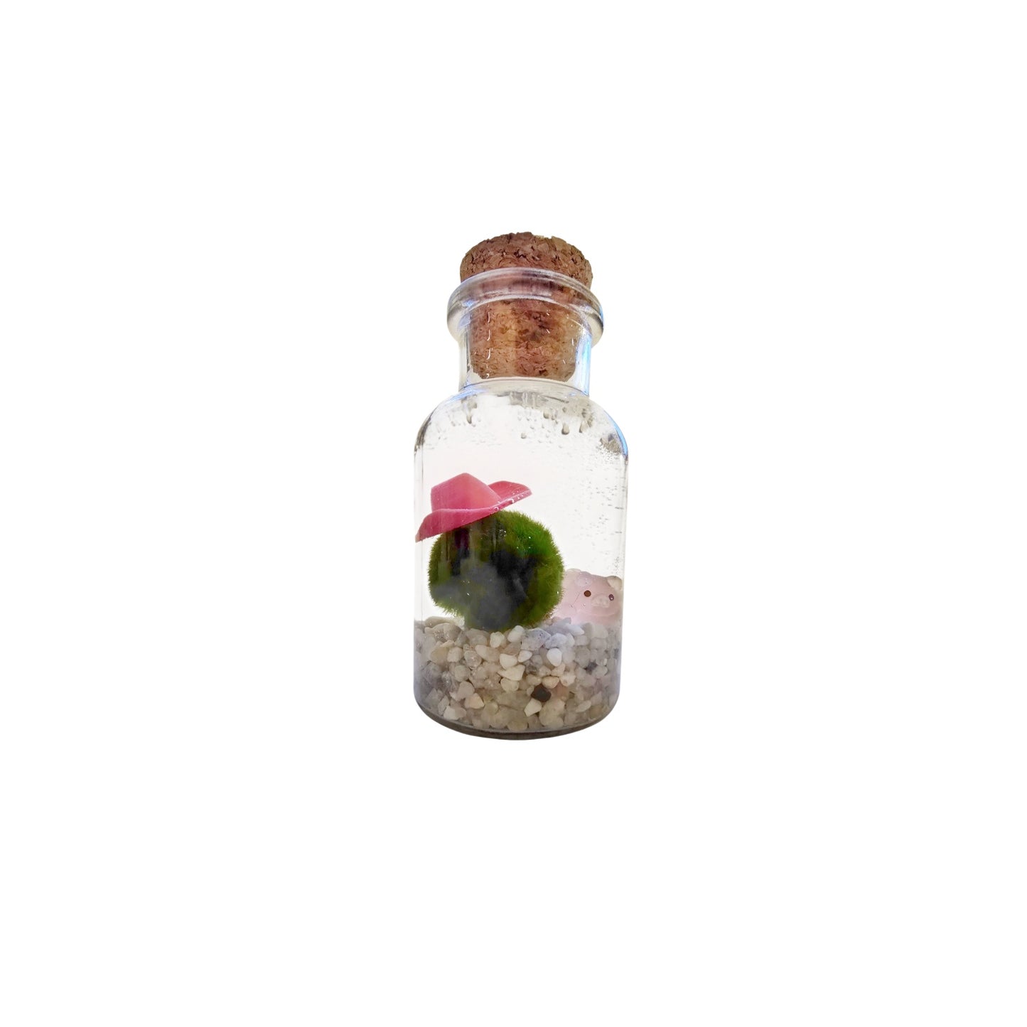 Lottie the Country Marimo