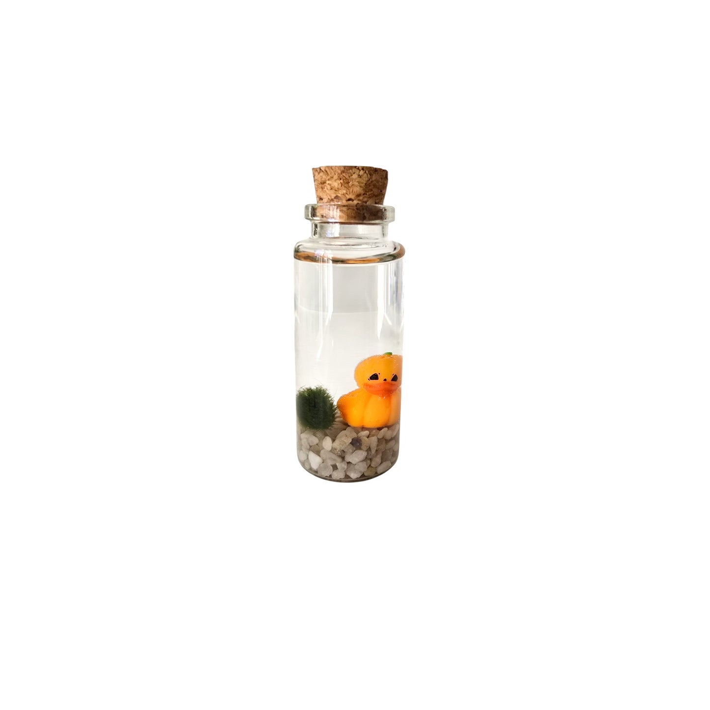 Baby Marimo with Pumpkin Duckie