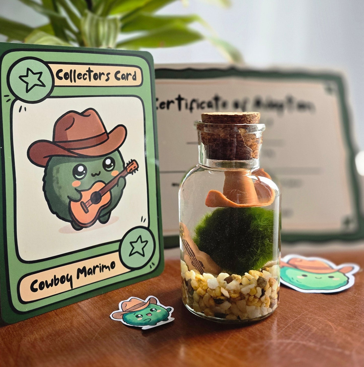 Tatertot the Cowboy Marimo with Guitar