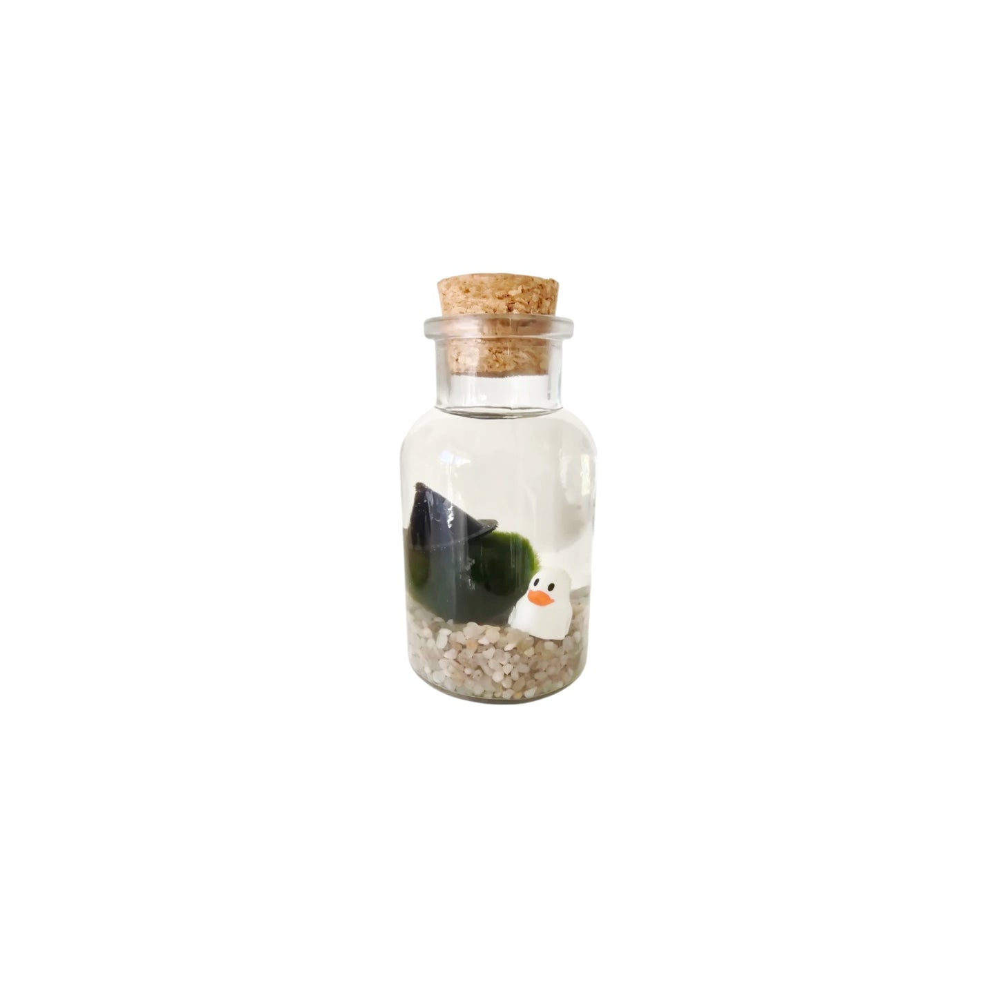 Witch Marimo with Ghost Duckie