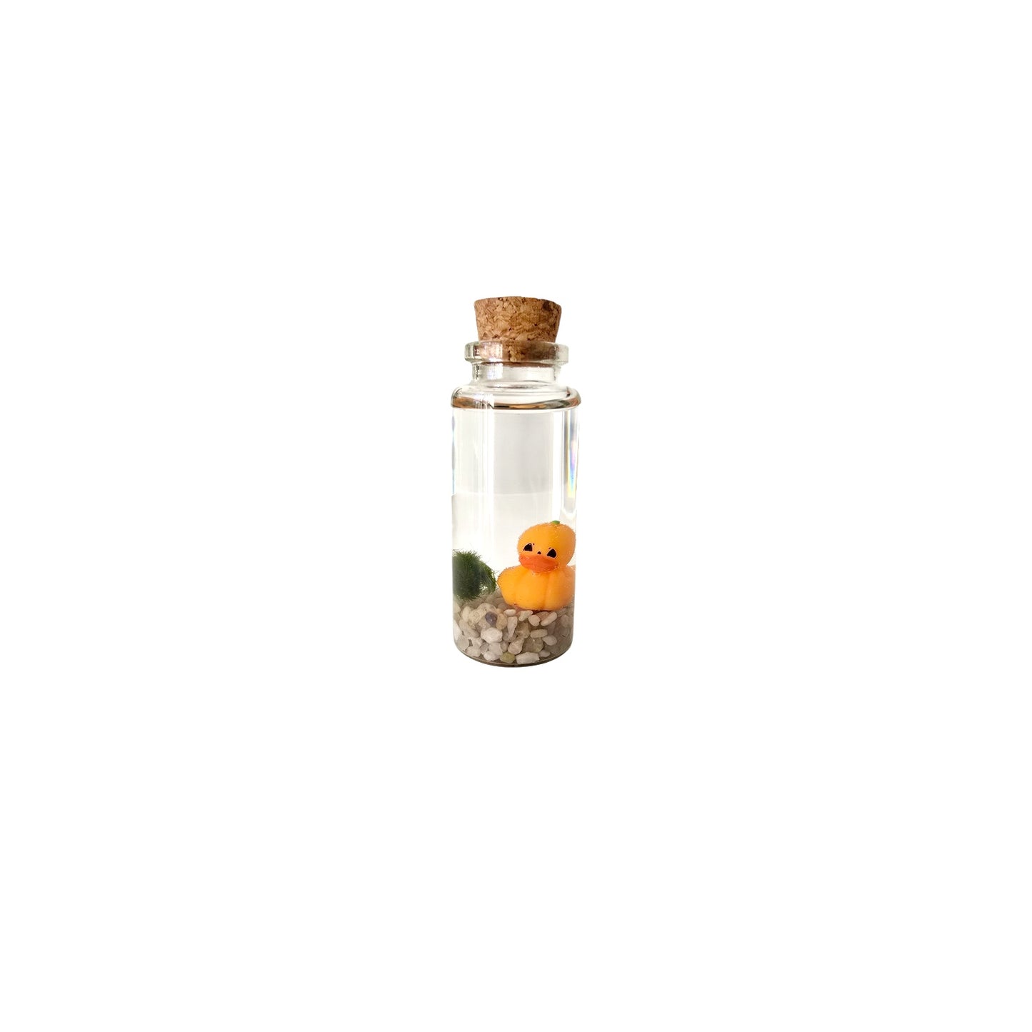 Baby Marimo with Pumpkin Duckie