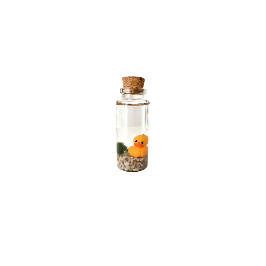 Baby Marimo with Pumpkin Duckie