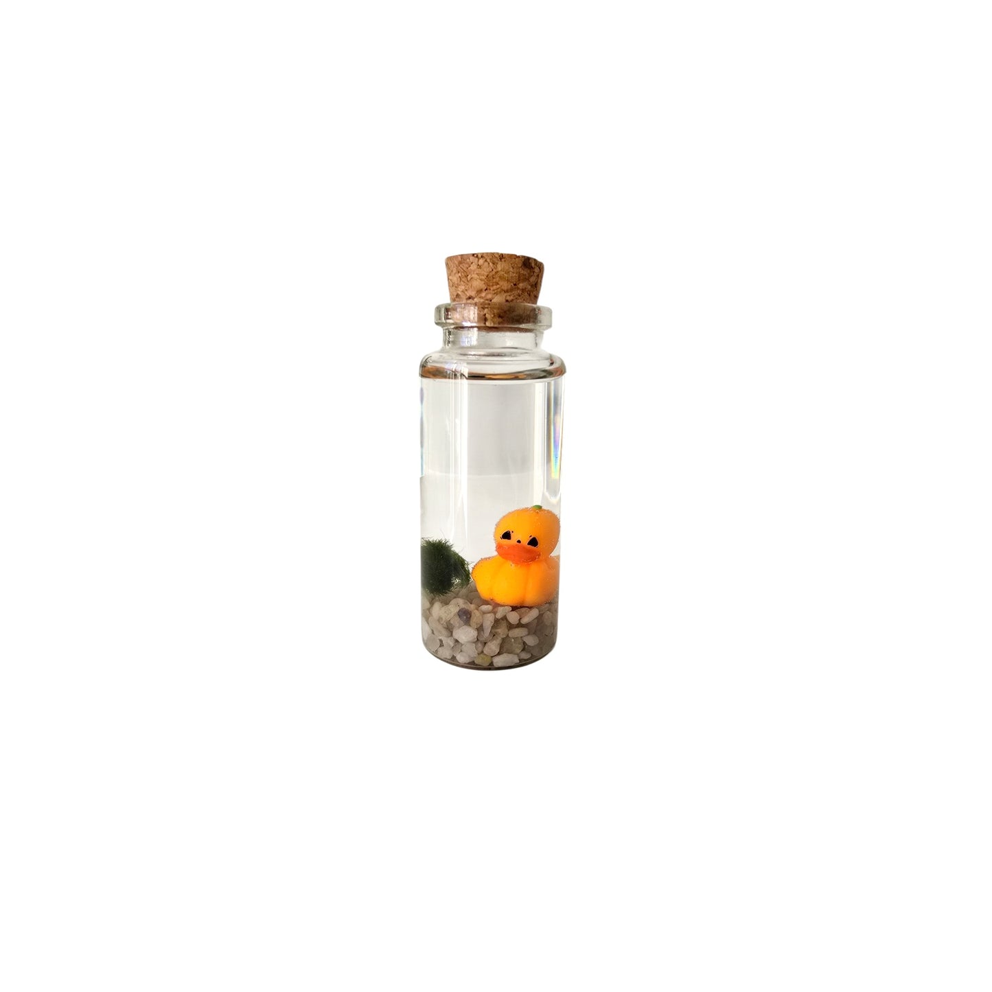 Baby Marimo with Pumpkin Duckie