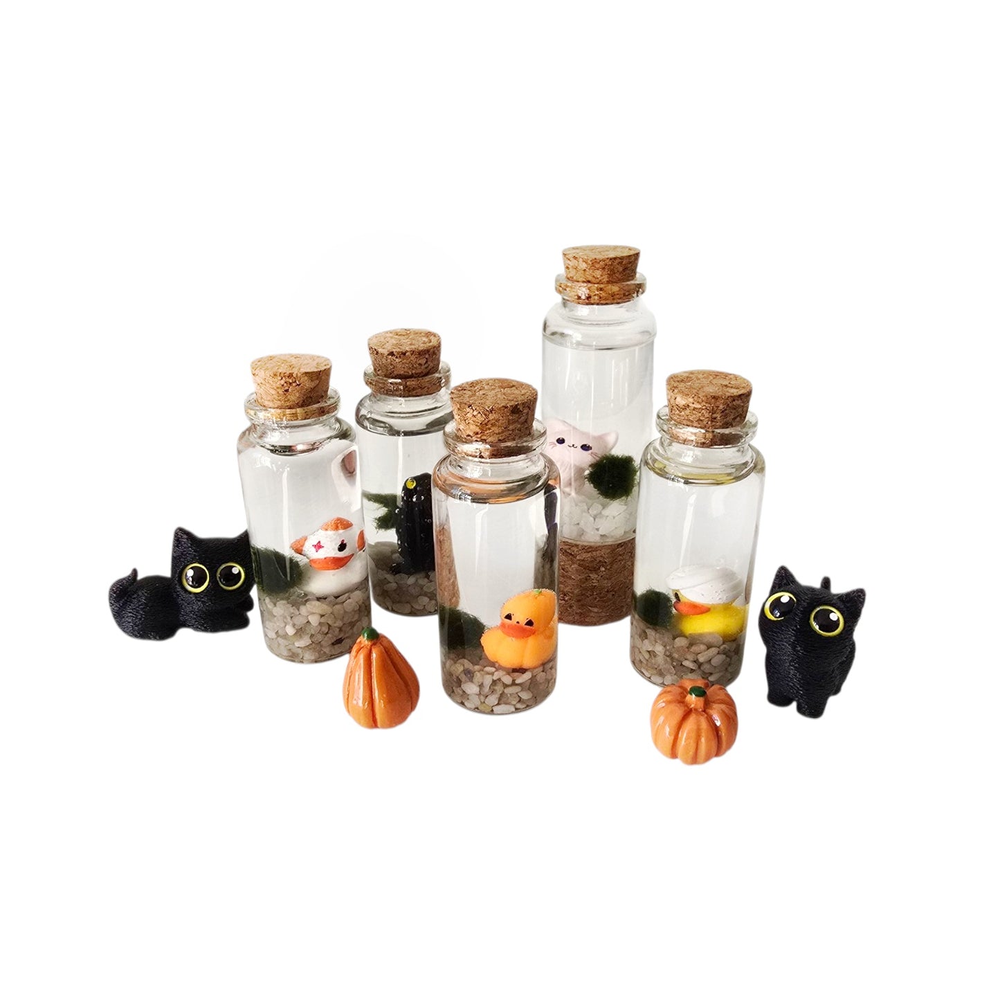 Baby Marimo with Kitten