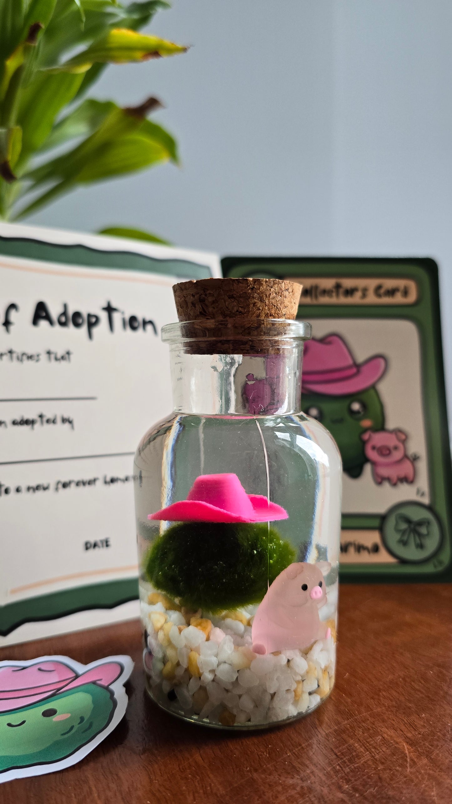 Lottie the Country Marimo