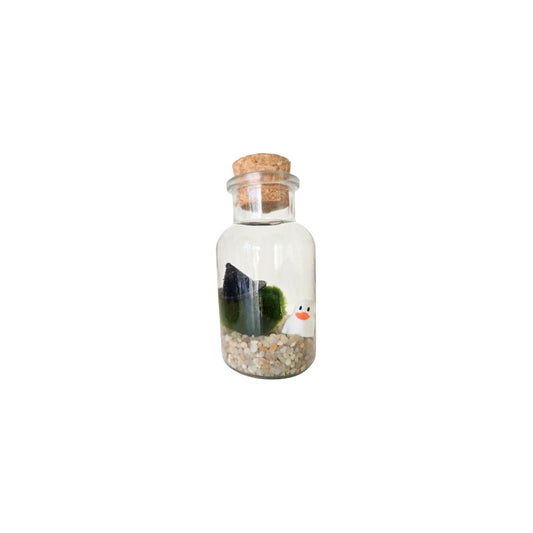Witch Marimo with Ghost Duckie