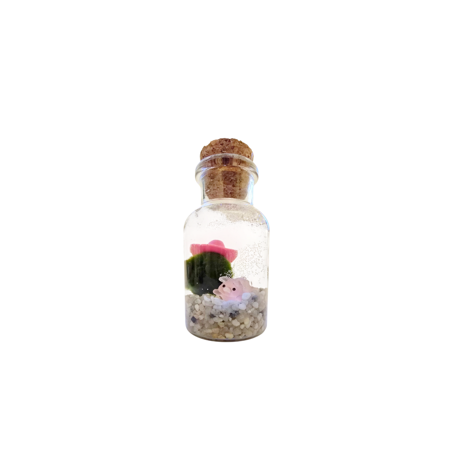 Lottie the Country Marimo