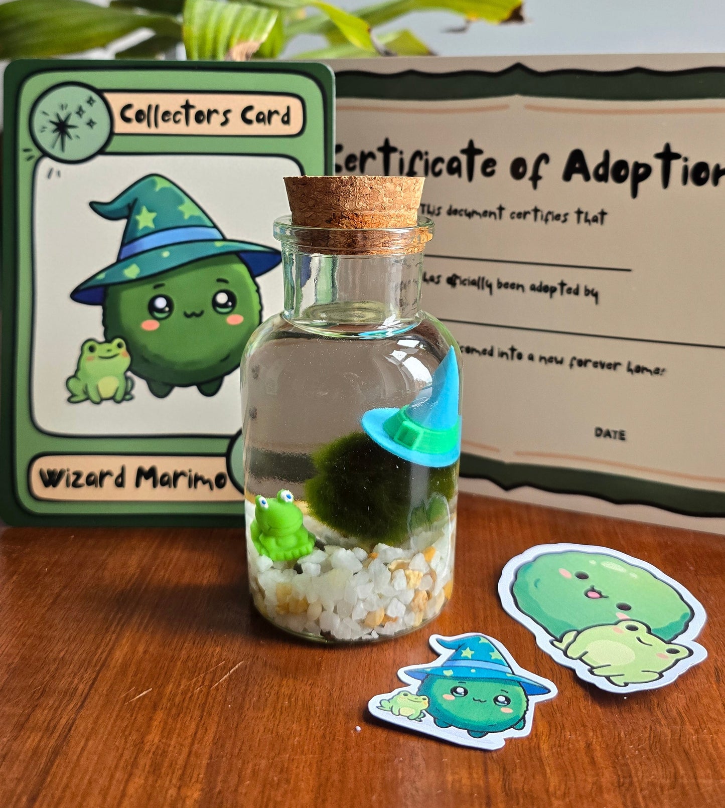 Sprout the Wizard Marimo with Froggy