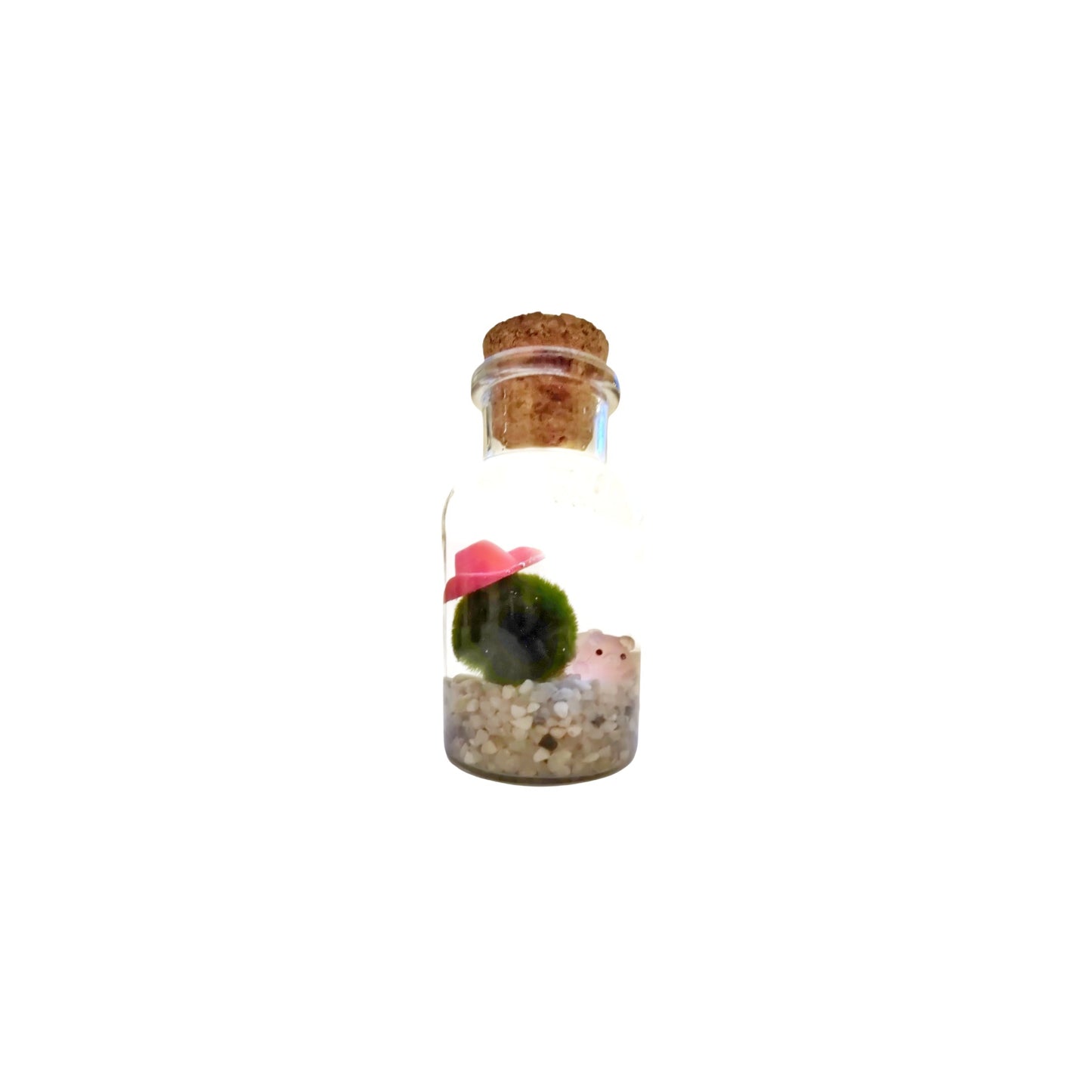 Lottie the Country Marimo