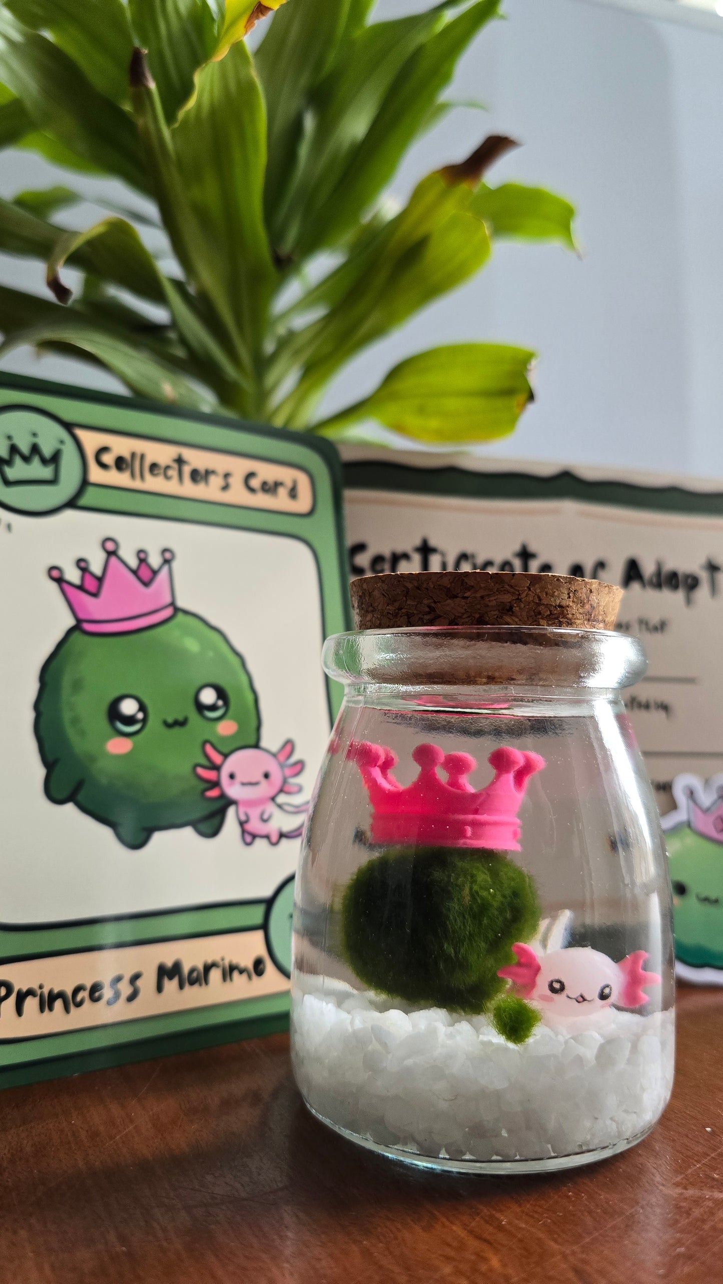Mochi the Marimo with Axolotl