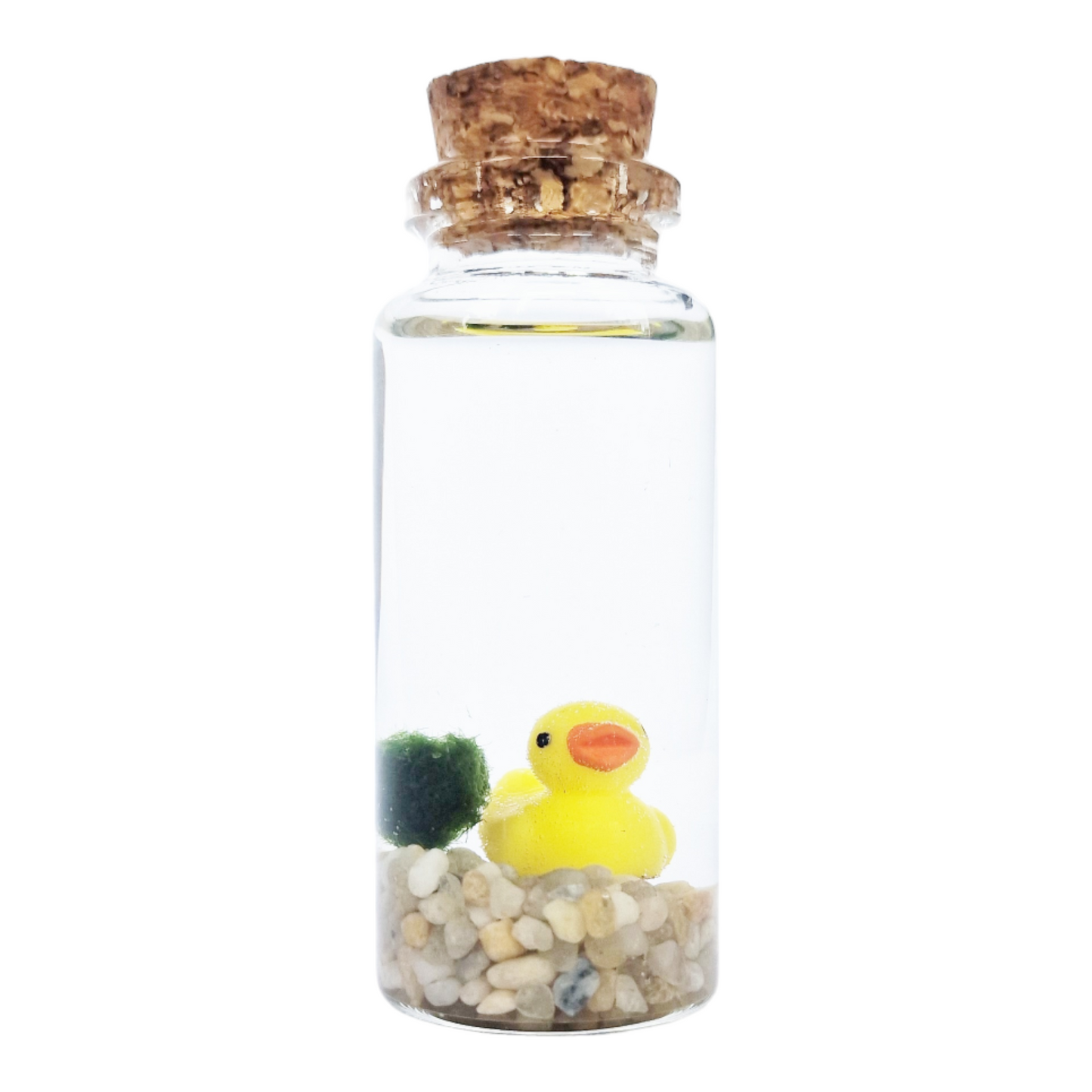 Baby Marimo with Duckie