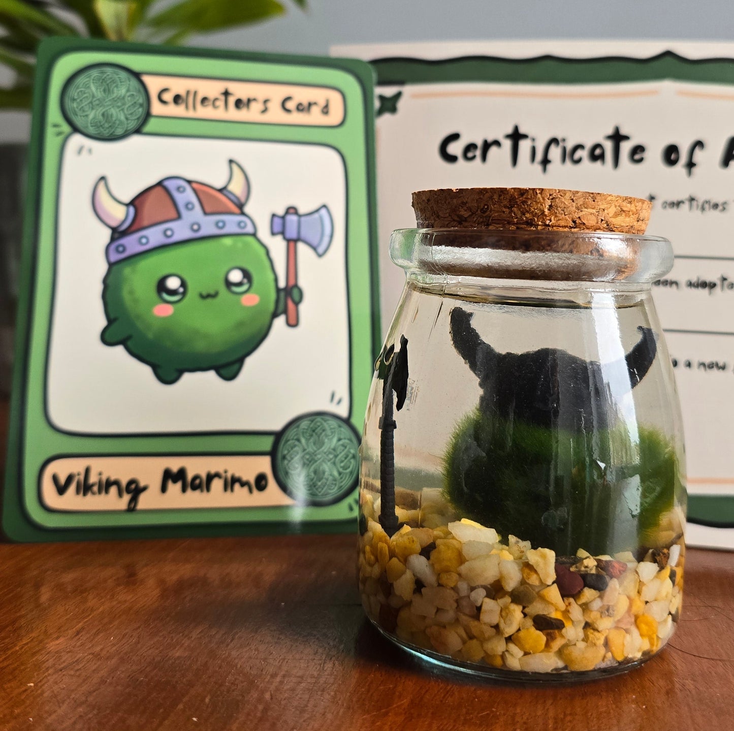 Goliath the Viking Marimo