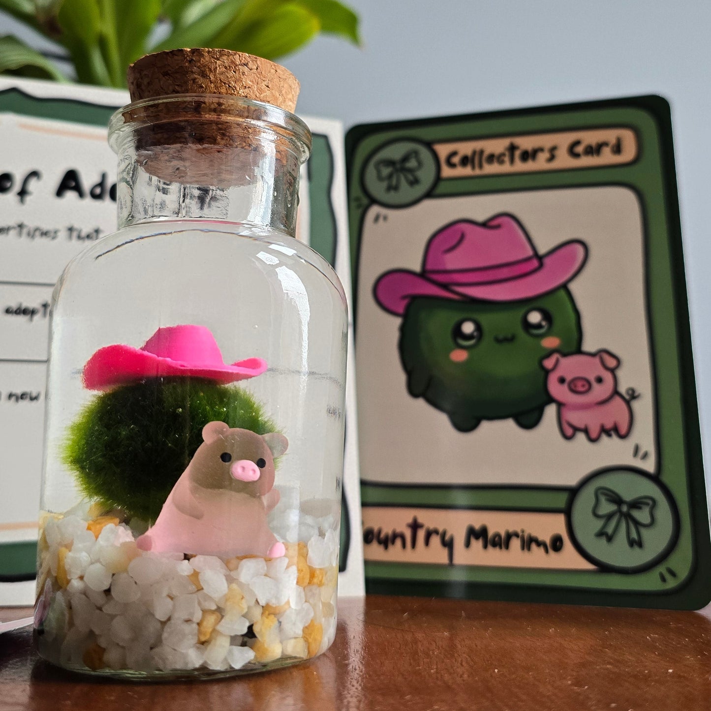 Pig Farmer Marimo