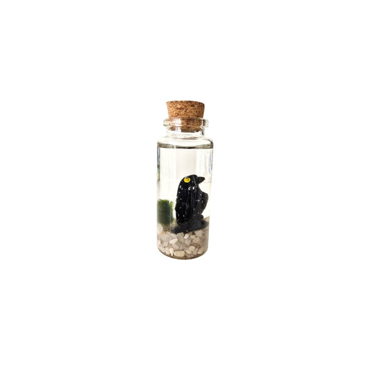 Baby Marimo with Crow
