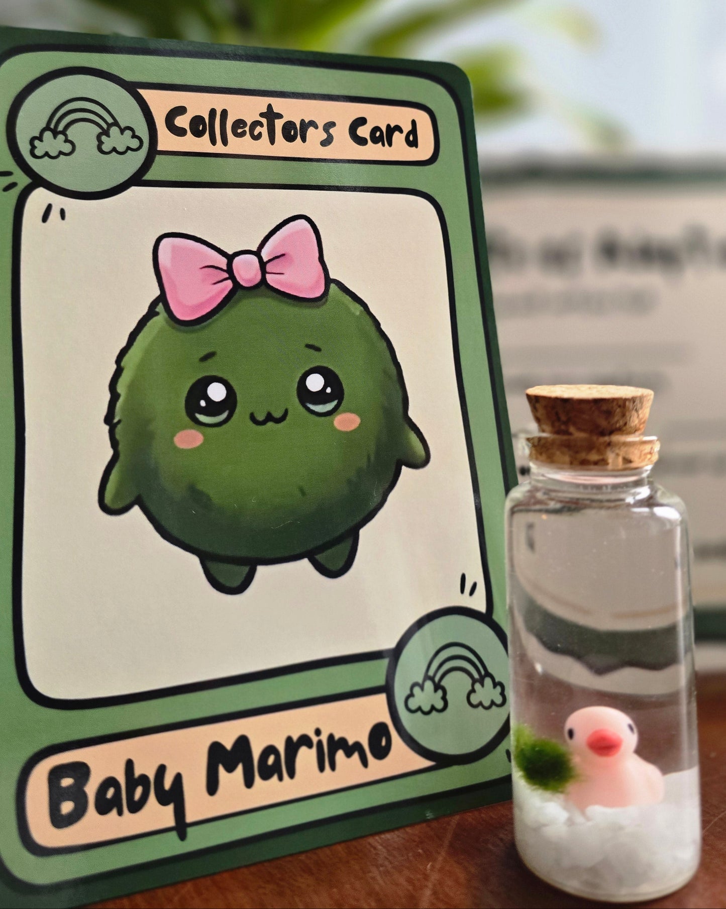Baby Marimo with a Cute Kitten