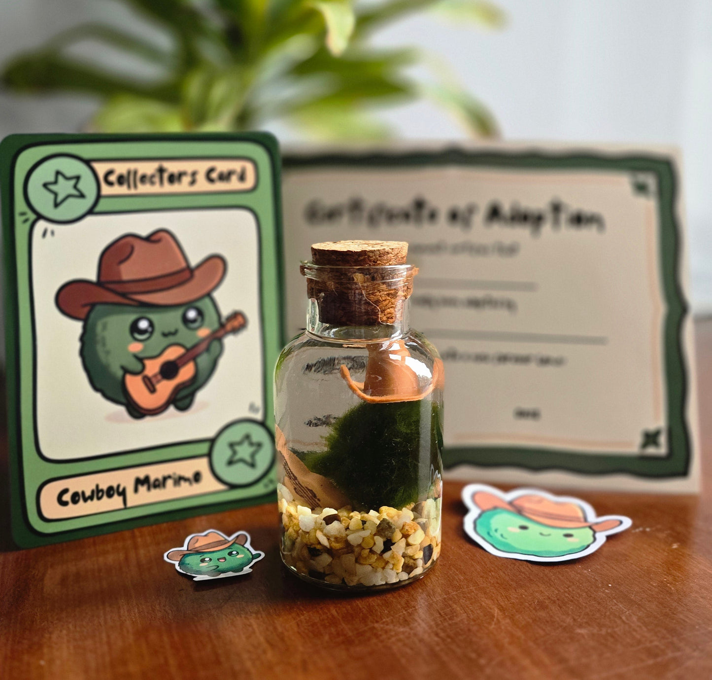 Tatertot the Cowboy Marimo with Guitar