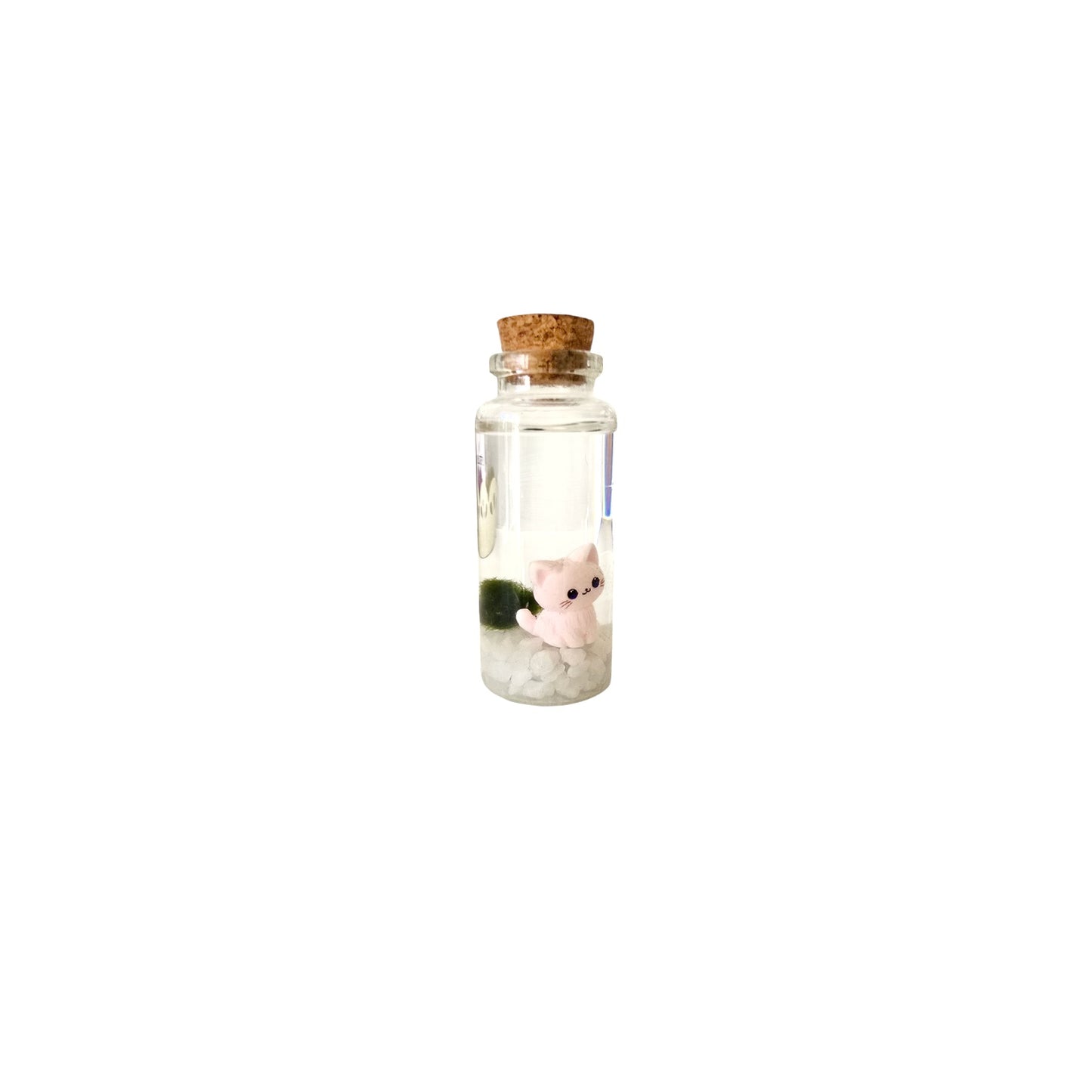 Baby Marimo with Kitten