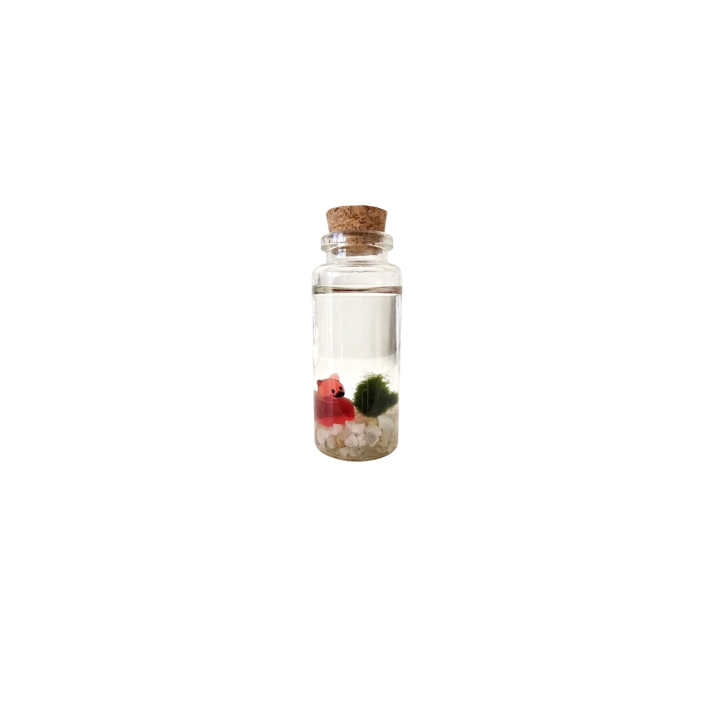 Baby Marimo with Devil Duckie
