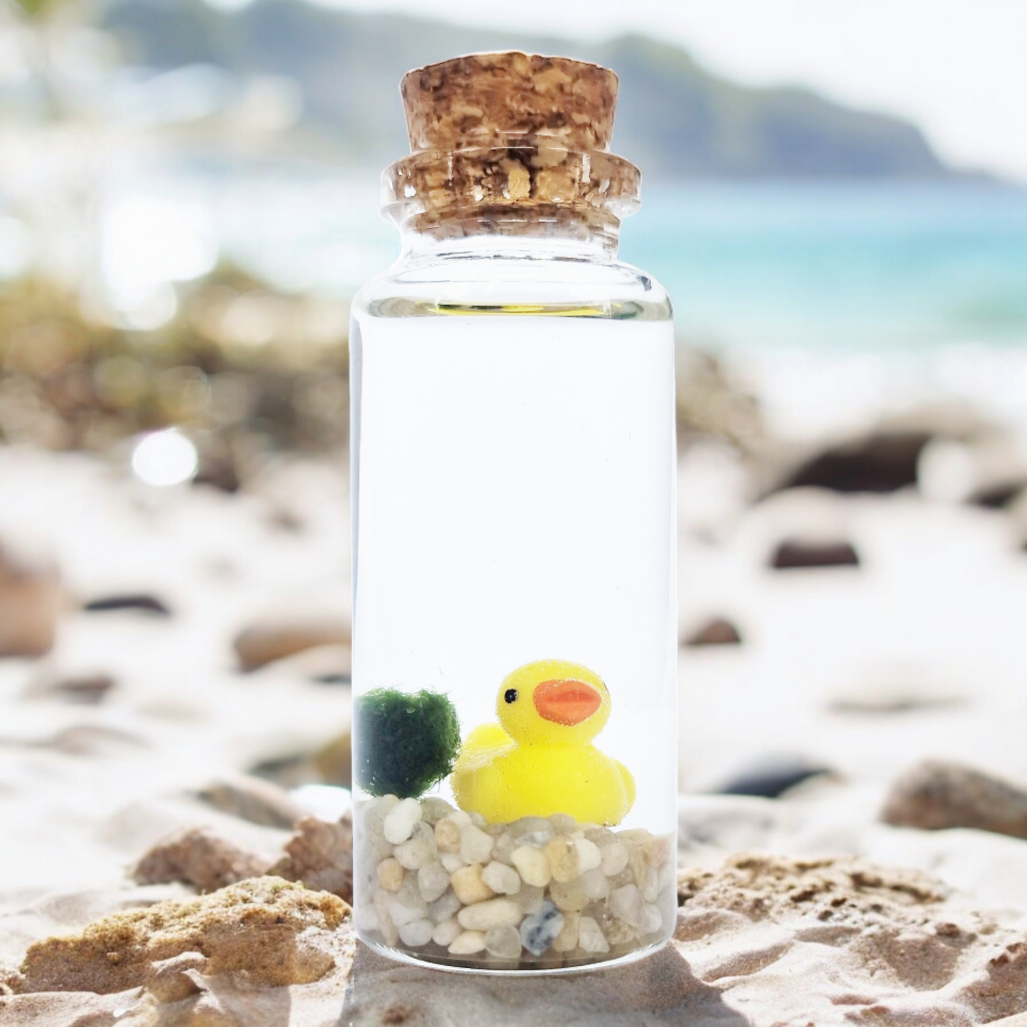 Baby Marimo with Duckie