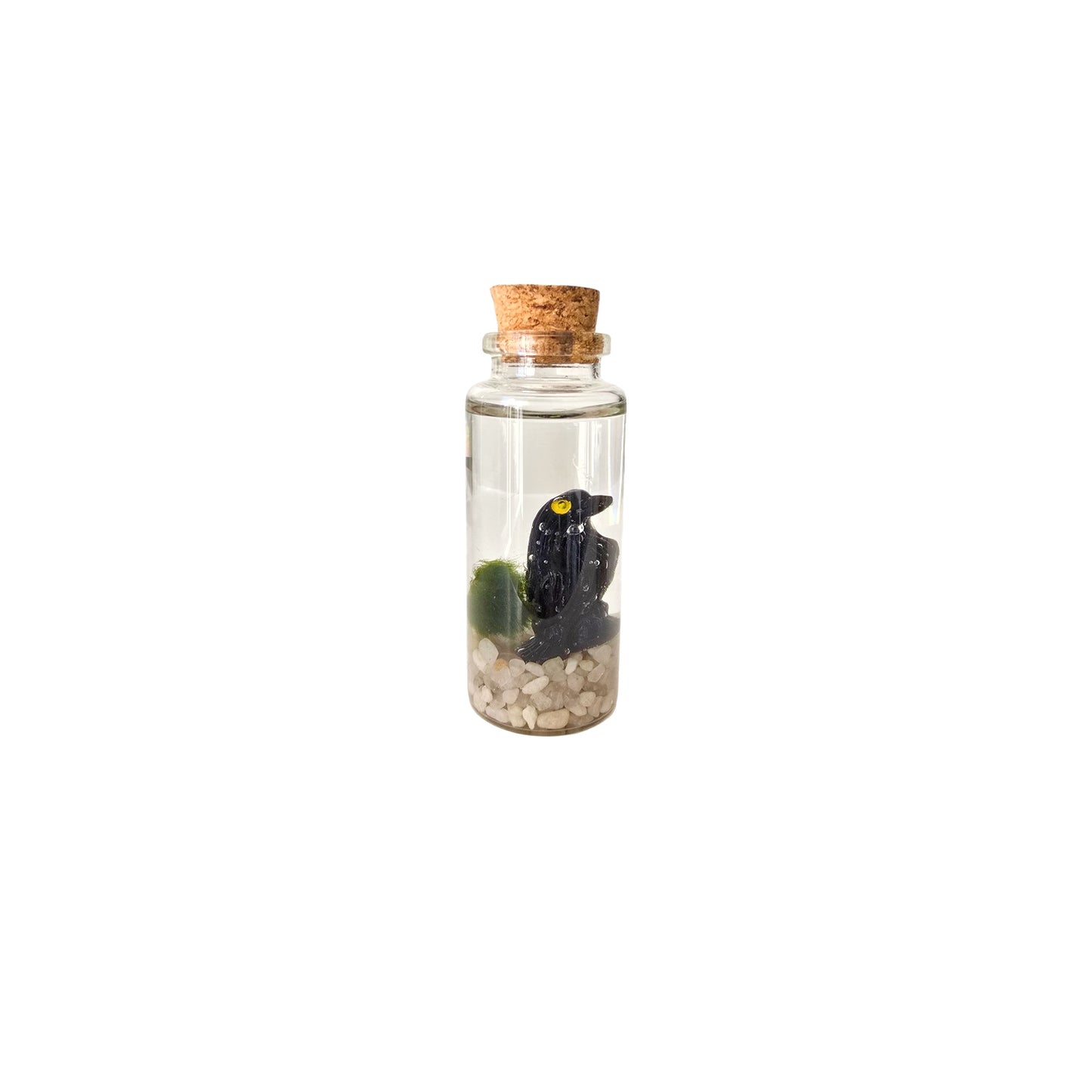 Baby Marimo with Crow
