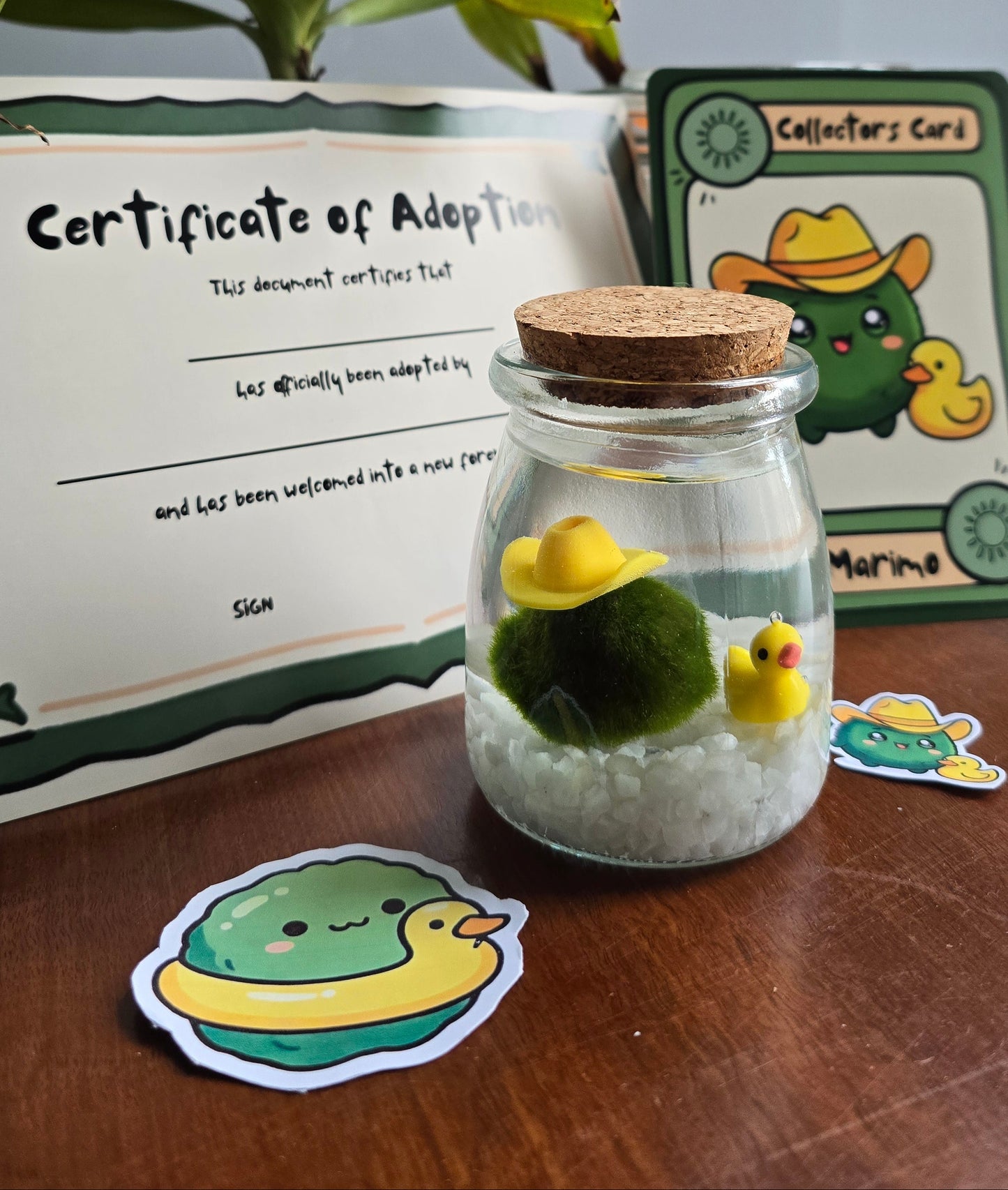 Plipp the Pond Marimo with Duckie