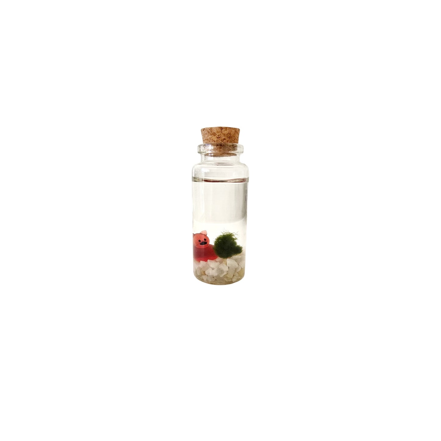 Baby Marimo with Devil Duckie