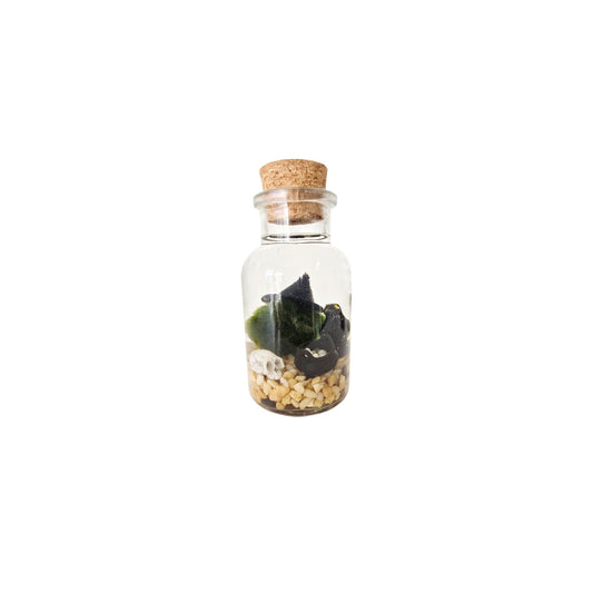 I'm That Witch Marimo